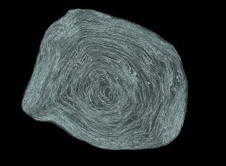Slice image of Pherc. 172 from micro-CT. Photo courtesy of Vesuvius Challenge.