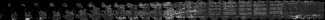 Pherc. 1667 digitally unwrapped from end-to-end — revealing 20 columns of continuous text. Photo courtesy of Vesuvius Challenge.