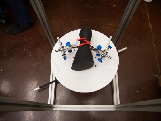 Biosystems Capstone