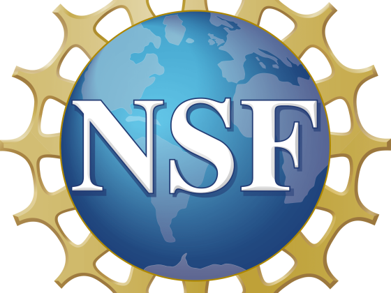 NSF Logo